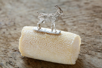 Fromage de chèvre