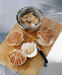 Ouvrir les coquilles saint-jacques 