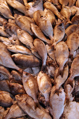 Étal de daurades grises