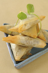 Bricks de sardine aux olives et tomates confites