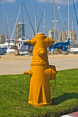 Yellow Hydrant
