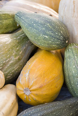 Courges