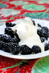 Mûres à la crème