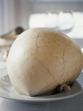 Vessie de porc gonfl&eacute;e pour cuisson de la volaille de Bresse