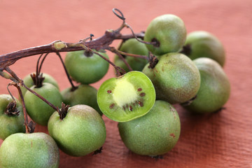 Kiwai