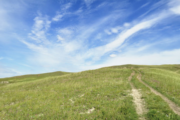 Summer landscape. Road to sky.