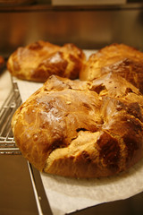 Brioches sorties du four