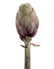 Fototapeta premium Artichaut détourable