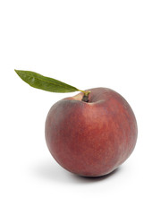 Pêche