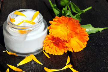 Naturheilkunde Ringelblumen Salbe