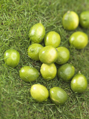 Citrons verts dans l'herbe