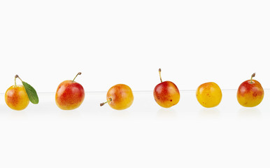 Composition de mirabelles