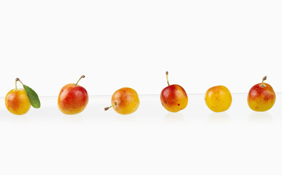 Composition de mirabelles