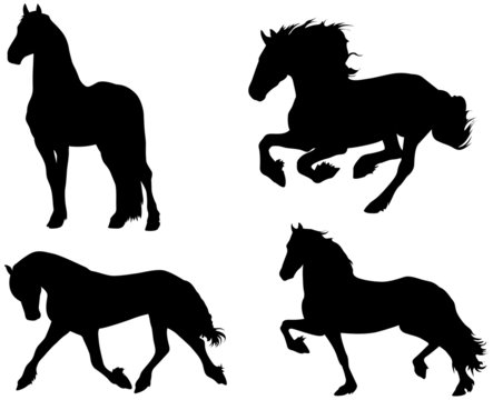 Frisian Horse