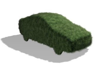 Auto aus Gras
