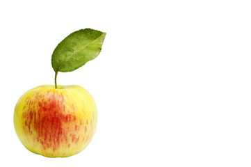 Fresh apple with green leaf