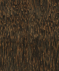 seamlees wooden texture