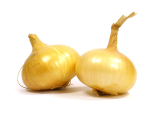 bulbs of onion