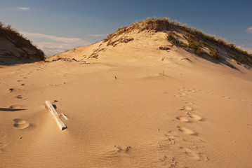 Sand Dune in the Afternoon Light