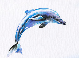 Obraz premium Blue dolphin