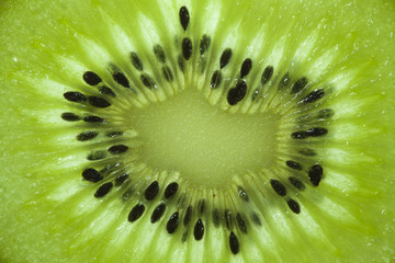 Close up of a kiwi