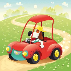 Wandcirkels tuinposter Grappige hond op een auto. Vectorillustratie, geïsoleerde objecten © ddraw