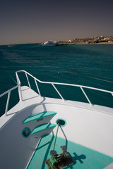 Coral Reef Red Sea Egypt Seascape