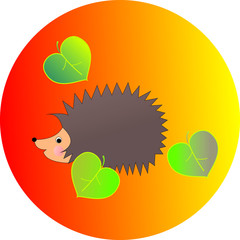 Hedgehog on red background, vector illustration