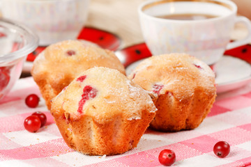 Cranberry muffins