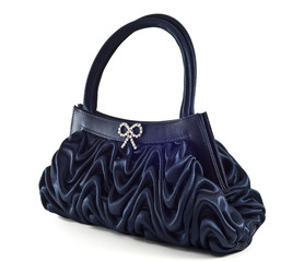 Elegant Blue Pochette