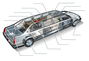 Vector limousine inforgaphics cutaway