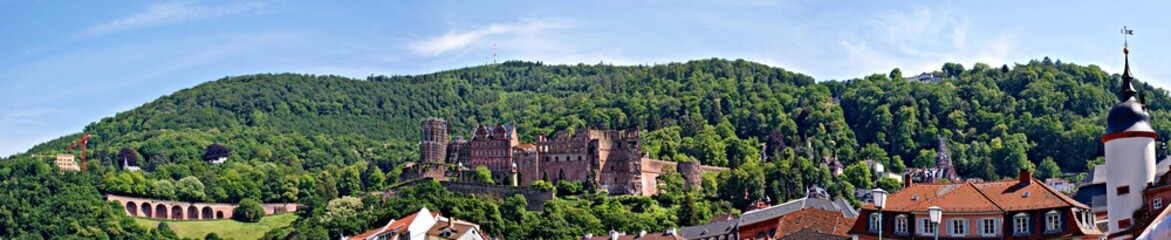 Fototapeta na wymiar Panorama Heidelberger Schloss