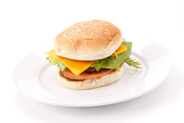 cheeseburger on the plate