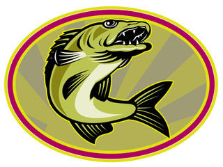walleye fish jumping set inside oval ellipse with sunburst