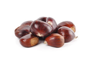 chestnut  on a white background
