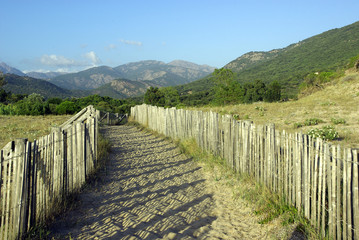 Path from the beach