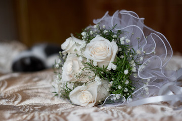 White Roses Background