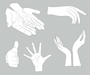 sketch of hands
