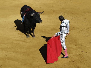 Plaza de toros de Toro (Zamora)