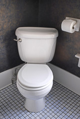 White Western Toilet