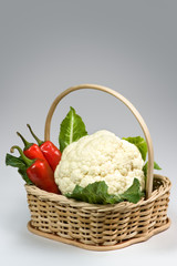 Vegetable basket