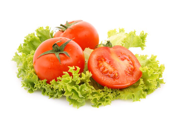 red tomato vegetables on the green salad background