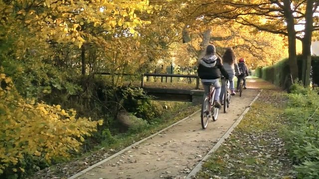 Faire du vélo en automne