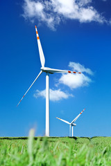 summer view of two wind turbines
