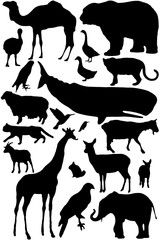 collection of different animals