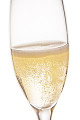 A glass of champagne