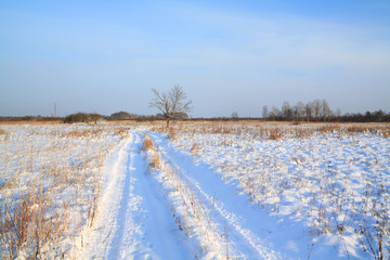rural road through winter field