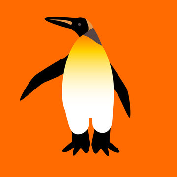 vector penguin on the orange background
