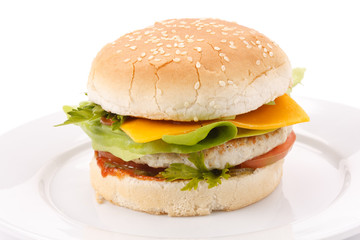 cheeseburger on the plate