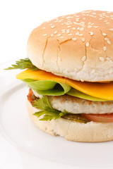 cheeseburger on the plate